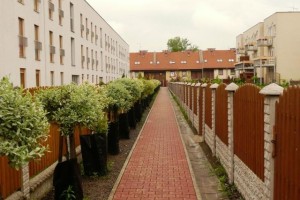 Piekary Śl., Na LIpce